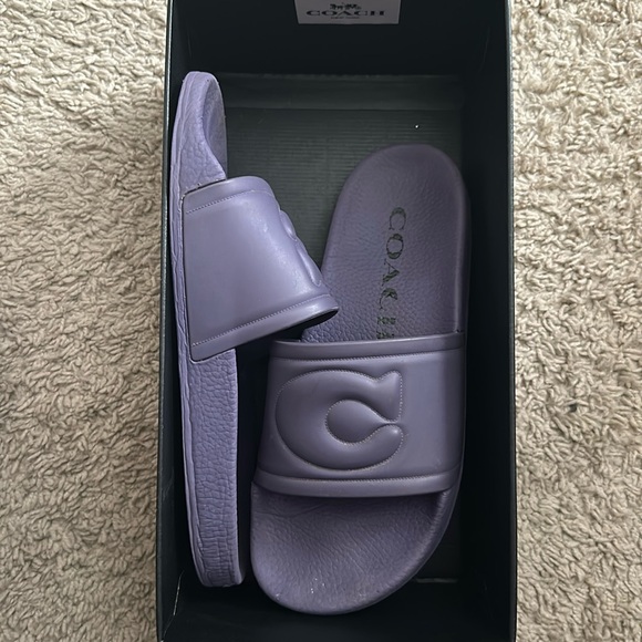 Coach slides - Picture 1 of 5